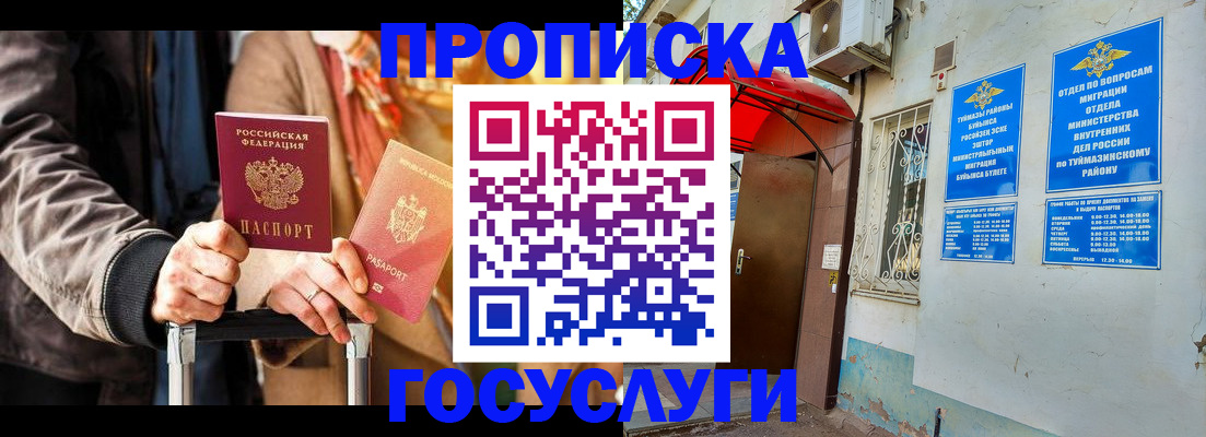 прописка гарантия в Ивантеевке